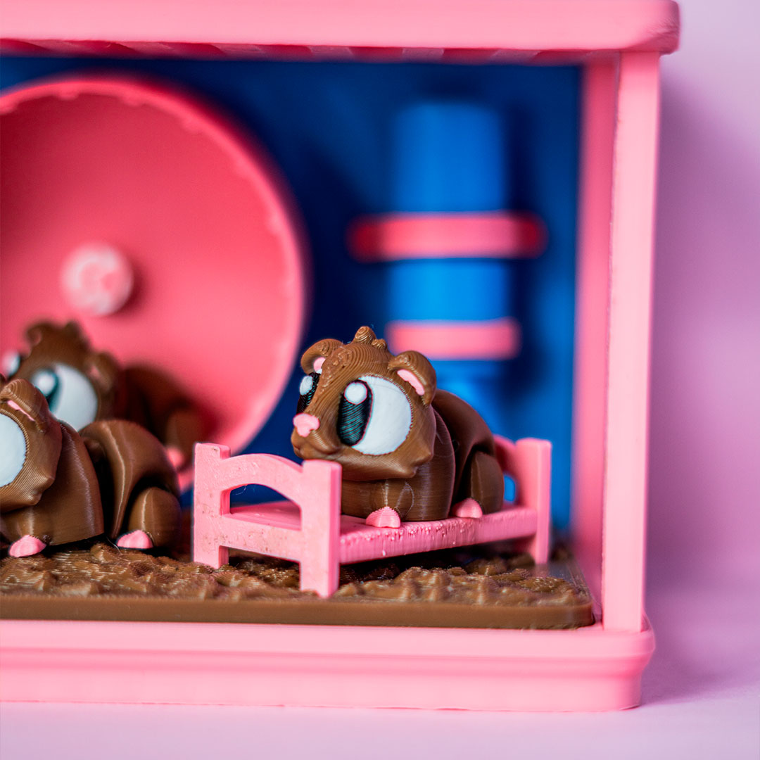 Jaula Hámsteres  y Hámsteres Flexy